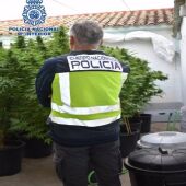  Agente de la Policía Nacional en la finca donde se halló la plantación de marihuana