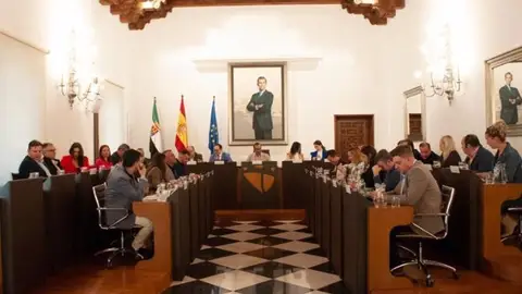 Diputación destinará 8 millones para un Plan Especial de Empleo en los municipios cacereños Diputación destinará 8 millones para un Plan Especial de Empleo en los municipios cacereños