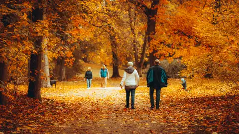 Dos ancianos paseando por el bosque Dos ancianos paseando por el bosque