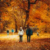 Dos ancianos paseando por el bosque Dos ancianos paseando por el bosque