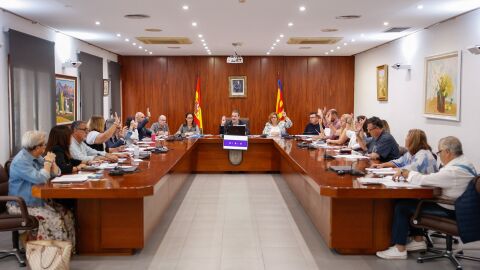 Pleno de L'Alf&agrave;s del Pi