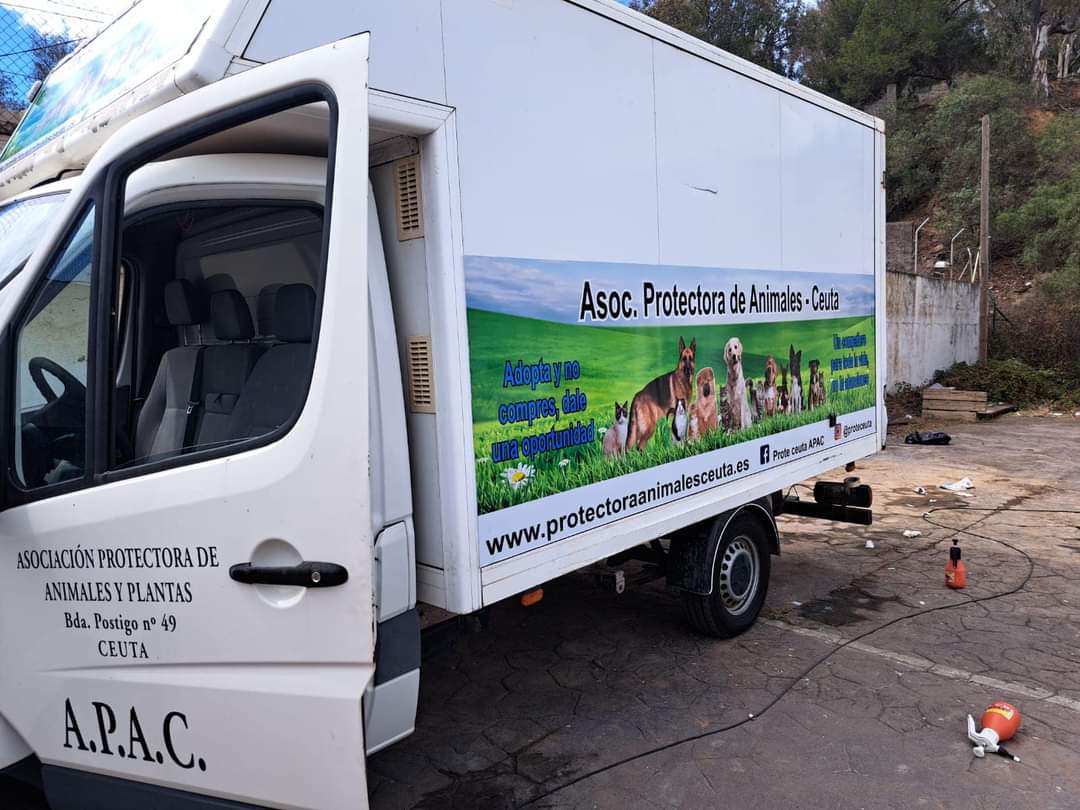 La Protectora de Animales de Ceuta pide a Sanidad Exterior que desbloquee las adopciones de perros por parte de Francia La Protectora de Animales de Ceuta pide a Sanidad Exterior que desbloquee las adopciones de perros por parte de Francia