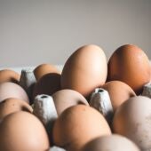 Cuántos huevos se pueden comer al día: esto dicen los nuevos estudios