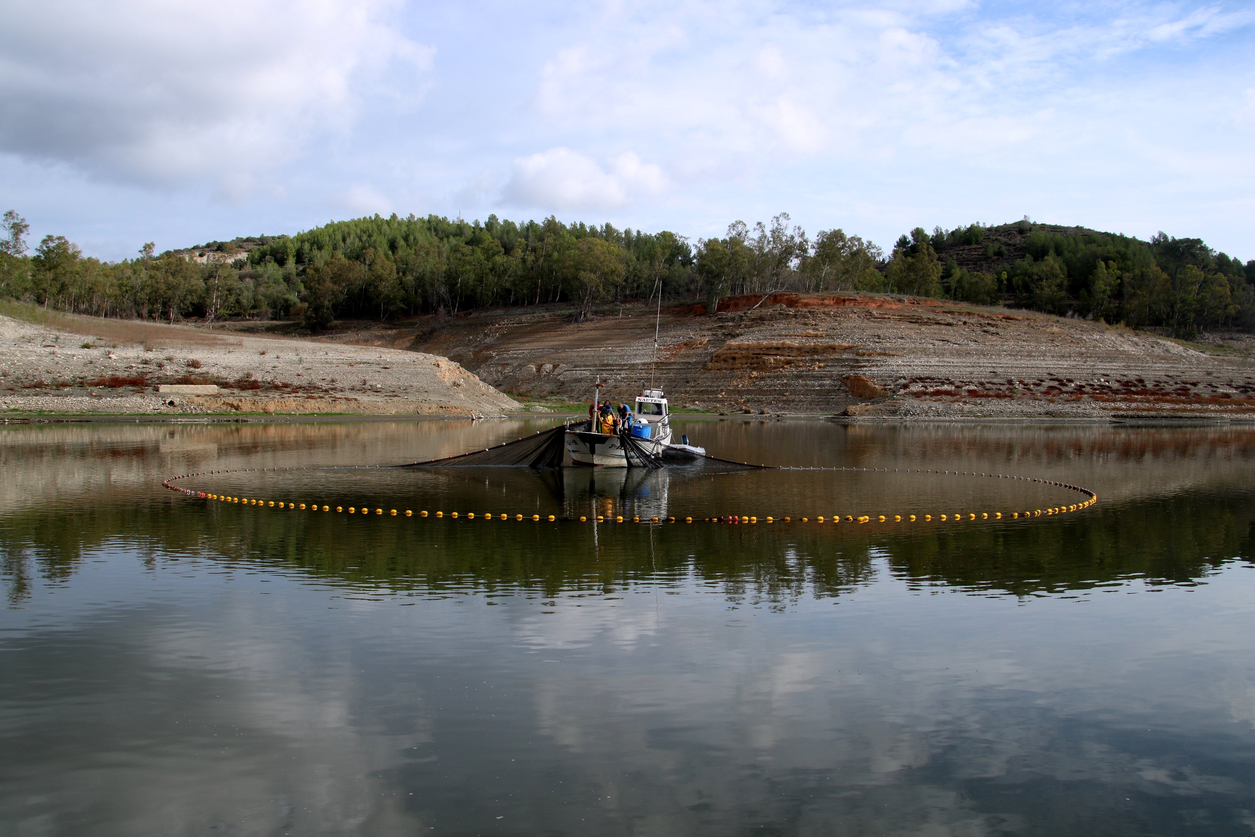 Retiren peixos del pantà de Riudecanyes per garantir la qualitat de l'aigua Retiren peixos del pantà de Riudecanyes per garantir la qualitat de l'aigua