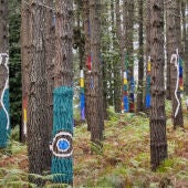 Bosque de Oma