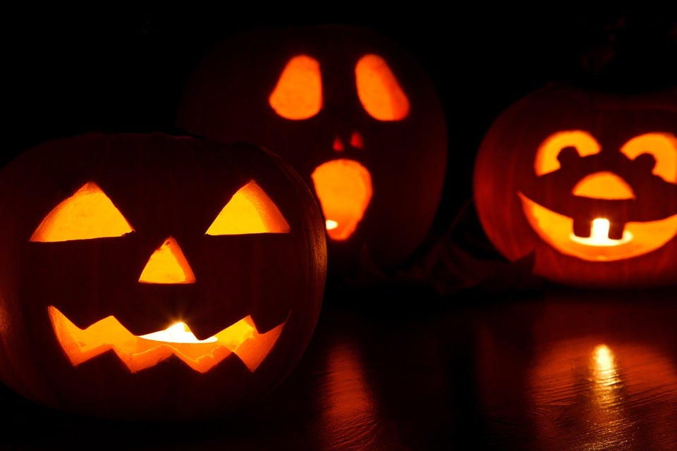 El curioso origen de la tradición de tallar calabazas en Halloween: fue un microbio El curioso origen de la tradición de tallar calabazas en Halloween: fue un microbio