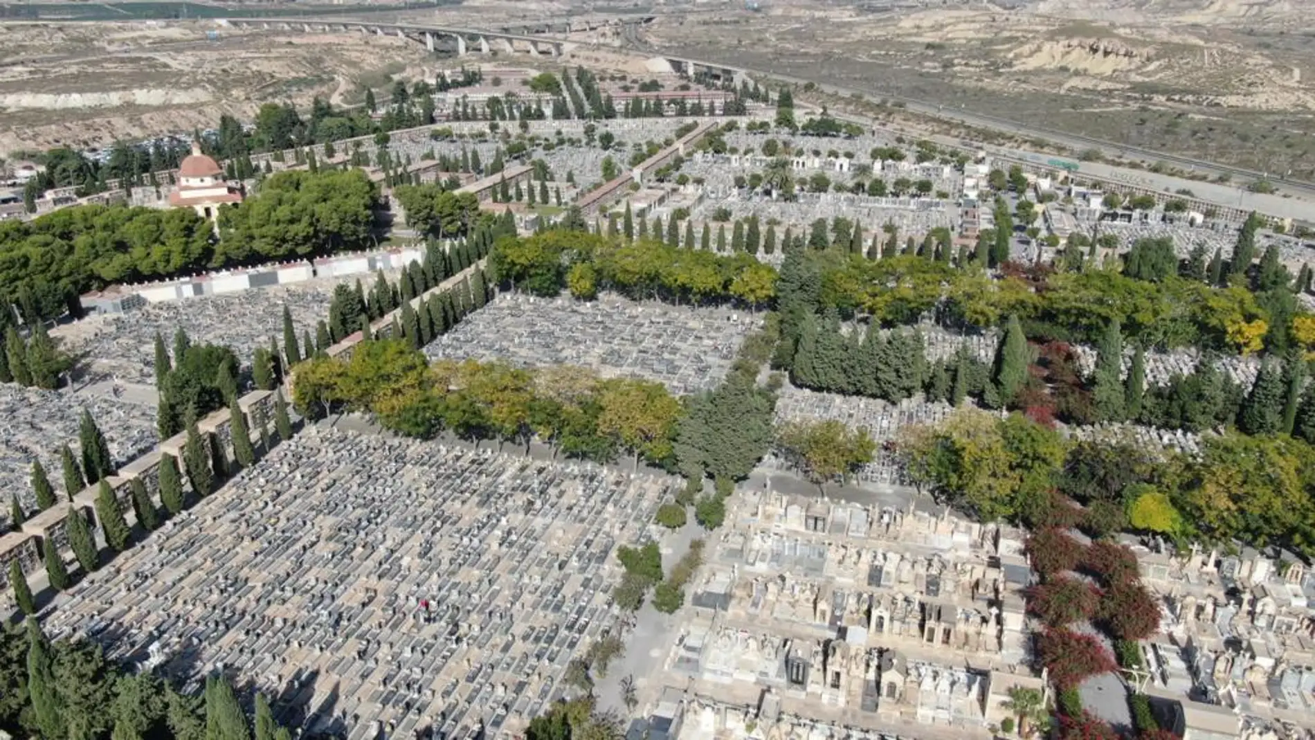 Una app para encontrar a tu difunto en el cementerio de Alicante