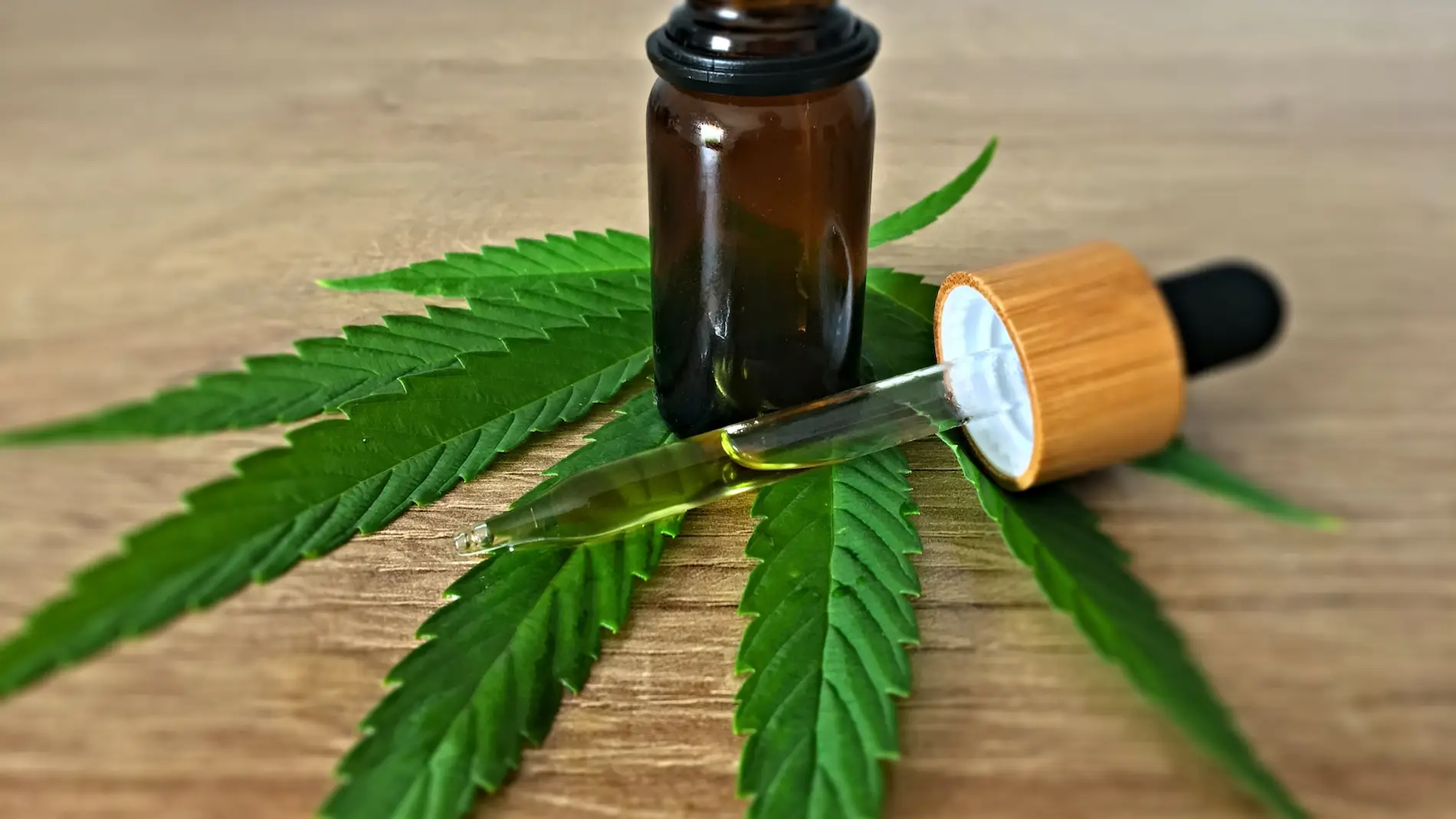 Productos con CBD: qué es, cuáles son sus beneficios y posibles riesgos