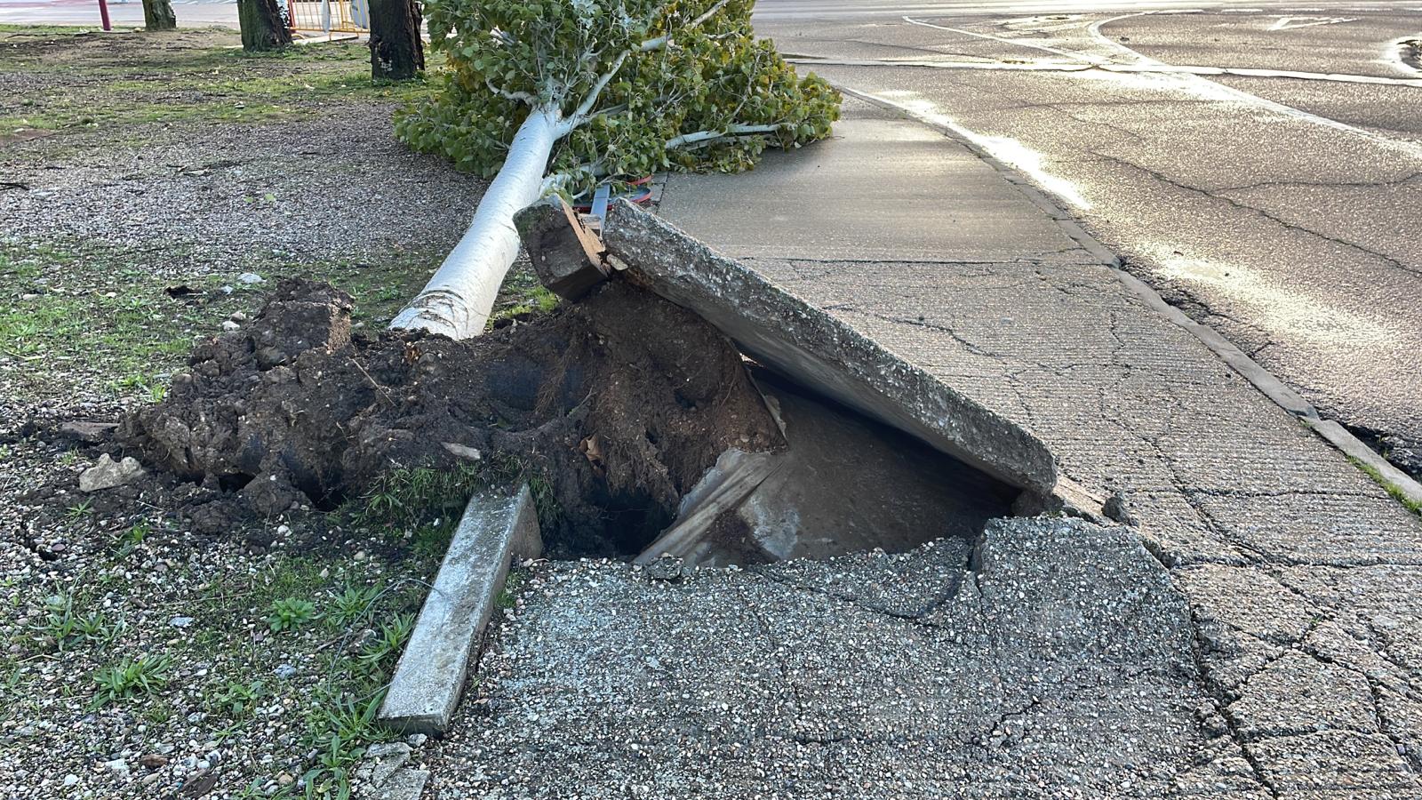 El temporal de viento y lluvias deja numerosos incidentes El temporal de viento y lluvias deja numerosos incidentes