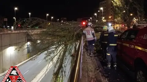Árbol caído a consecuencia del viento en Vitoria Árbol caído a consecuencia del viento en Vitoria
