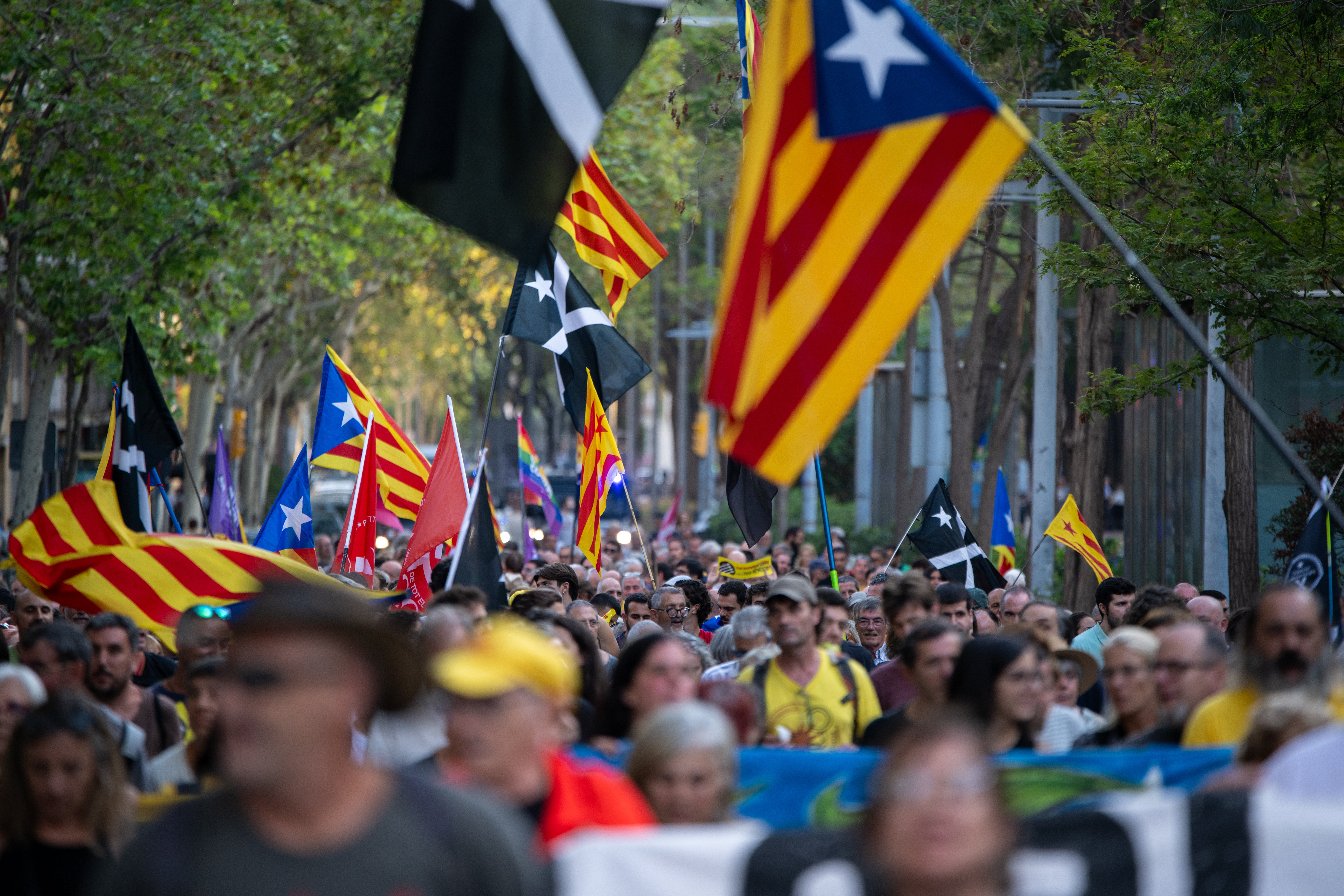 Qué son los CDR de Cataluña que se verán favorecidos por la ley de amnistía Qué son los CDR de Cataluña que se verán favorecidos por la ley de amnistía