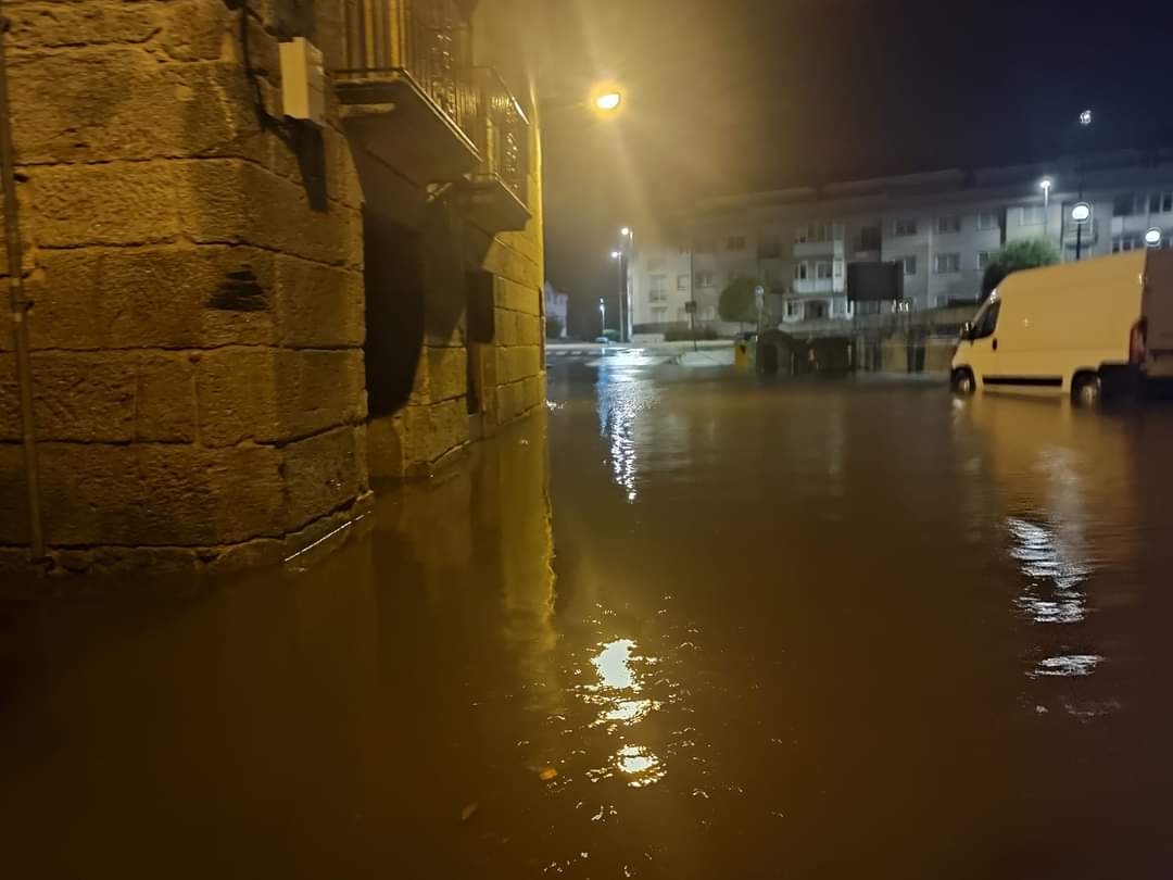 Árboles caídos y transportes suspendidos, principales consecuencias del temporal Ciarán Árboles caídos y transportes suspendidos, principales consecuencias del temporal Ciarán