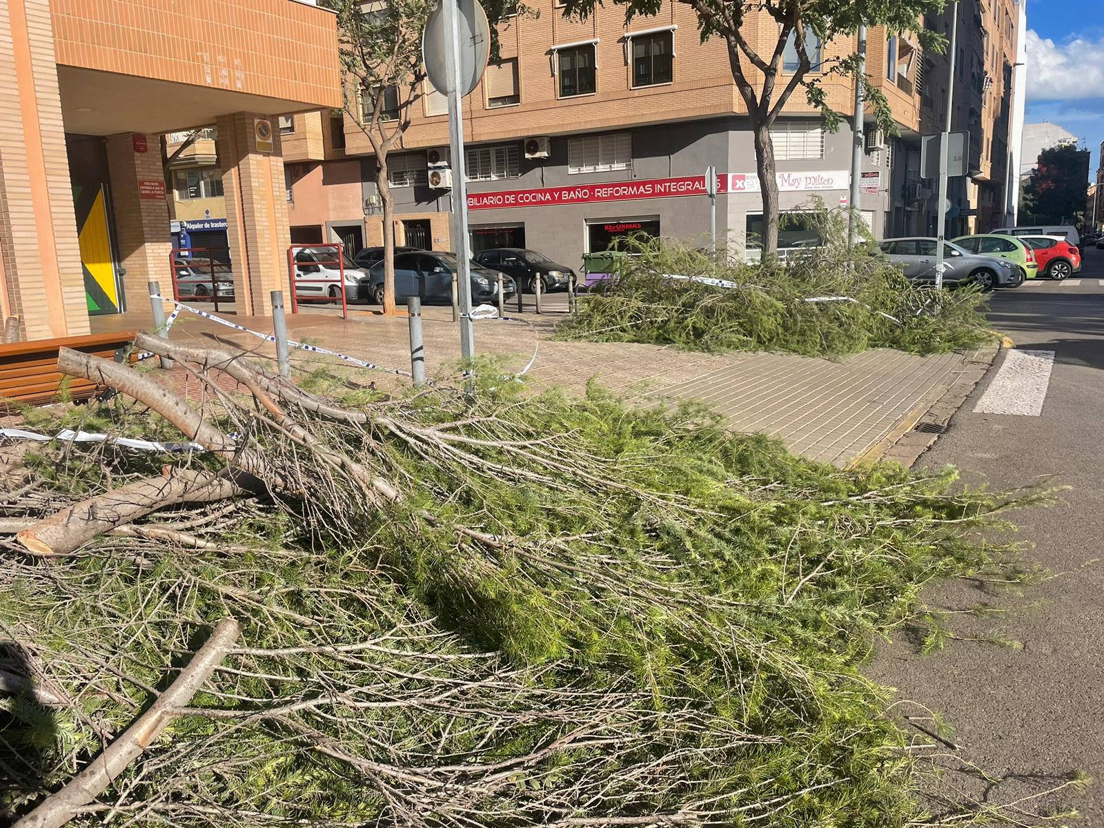 El temporal Oriana deja en Vila-real más de 100 actuaciones de urgencia y el cierre de la Ruta Botánica El temporal Oriana deja en Vila-real más de 100 actuaciones de urgencia y el cierre de la Ruta Botánica