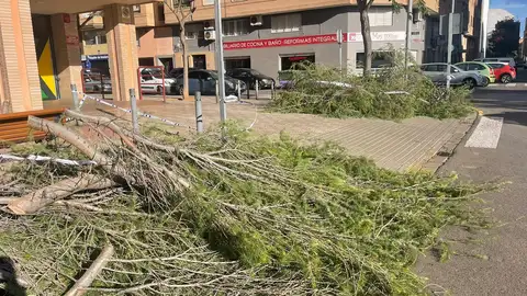 El viento azota la provincia de Castellón y provoca numerosos desperfectos materiales El viento azota la provincia de Castellón y provoca numerosos desperfectos materiales