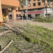 El viento azota la provincia de Castellón y provoca numerosos desperfectos materiales
