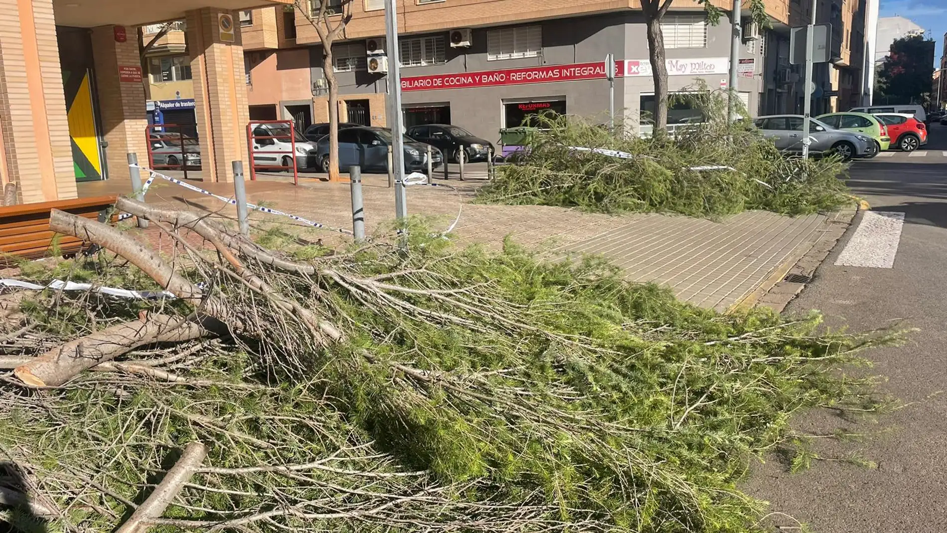 El viento azota la provincia de Castellón y provoca numerosos desperfectos materiales