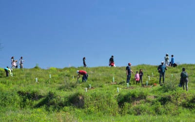 La iniciativa "Pacto de Ciudad por la reforestación" celebra una asamblea informativa entre sus asociados La iniciativa "Pacto de Ciudad por la reforestación" celebra una asamblea informativa entre sus asociados