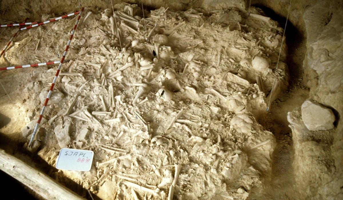 La guerra más antigua de Europa Occidental puede tener su origen en Álava La guerra más antigua de Europa Occidental puede tener su origen en Álava