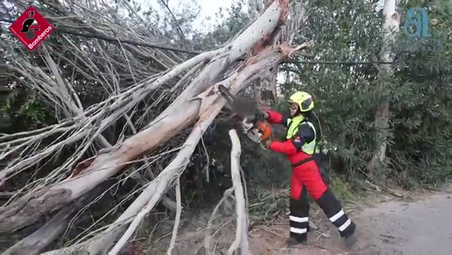 El fuerte viento causa desperfectos y clausura los actos al aire libre en Alicante El fuerte viento causa desperfectos y clausura los actos al aire libre en Alicante