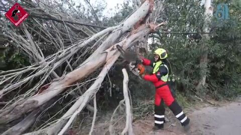 Los Bomberos del Consorcio de Alicante intervienen en San Vicent del Raspeig 