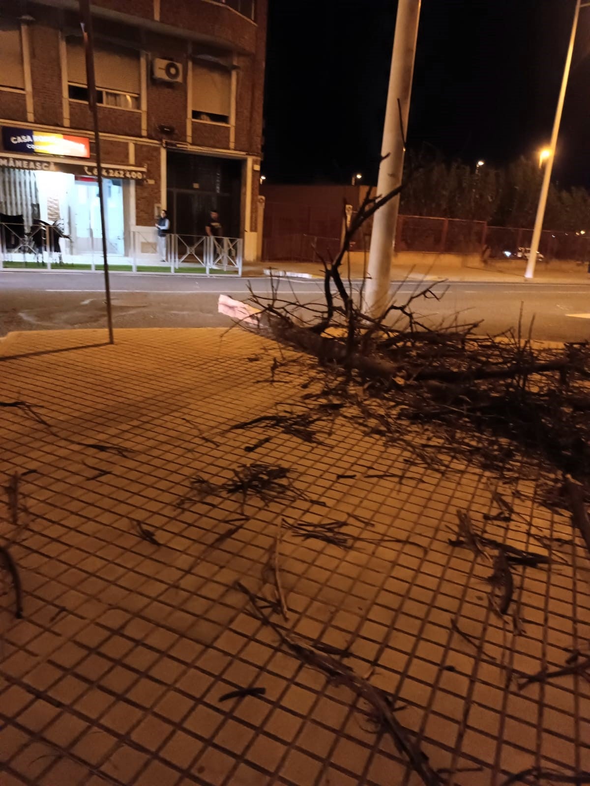 Una mujer de 45 años resulta herida en Elche tras caer una palmera sobre su coche por el viento Una mujer de 45 años resulta herida en Elche tras caer una palmera sobre su coche por el viento
