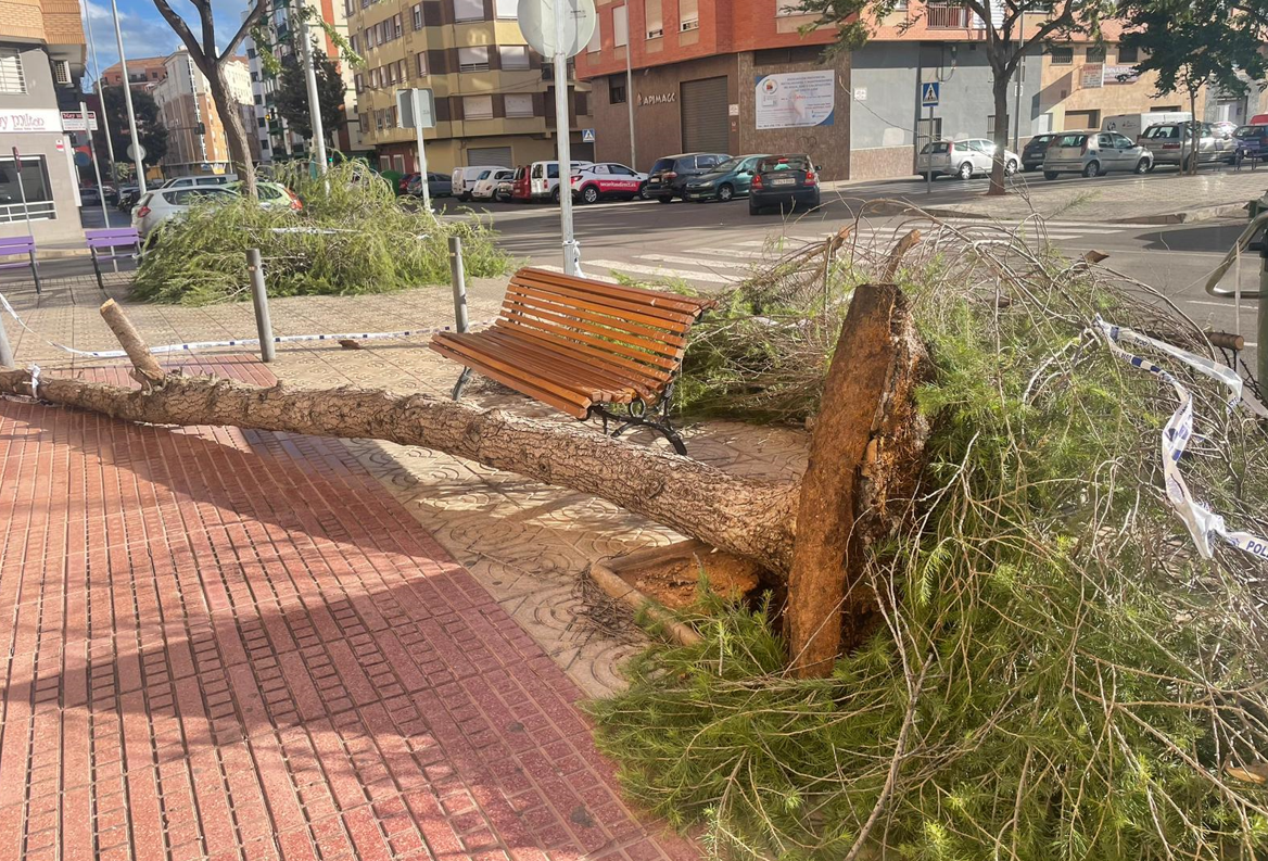 Alerta naranja: las intervenciones por viento en Castelló rozan el centenar Alerta naranja: las intervenciones por viento en Castelló rozan el centenar