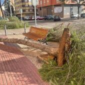Alerta naranja: las intervenciones por viento en Castelló rozan el centenar