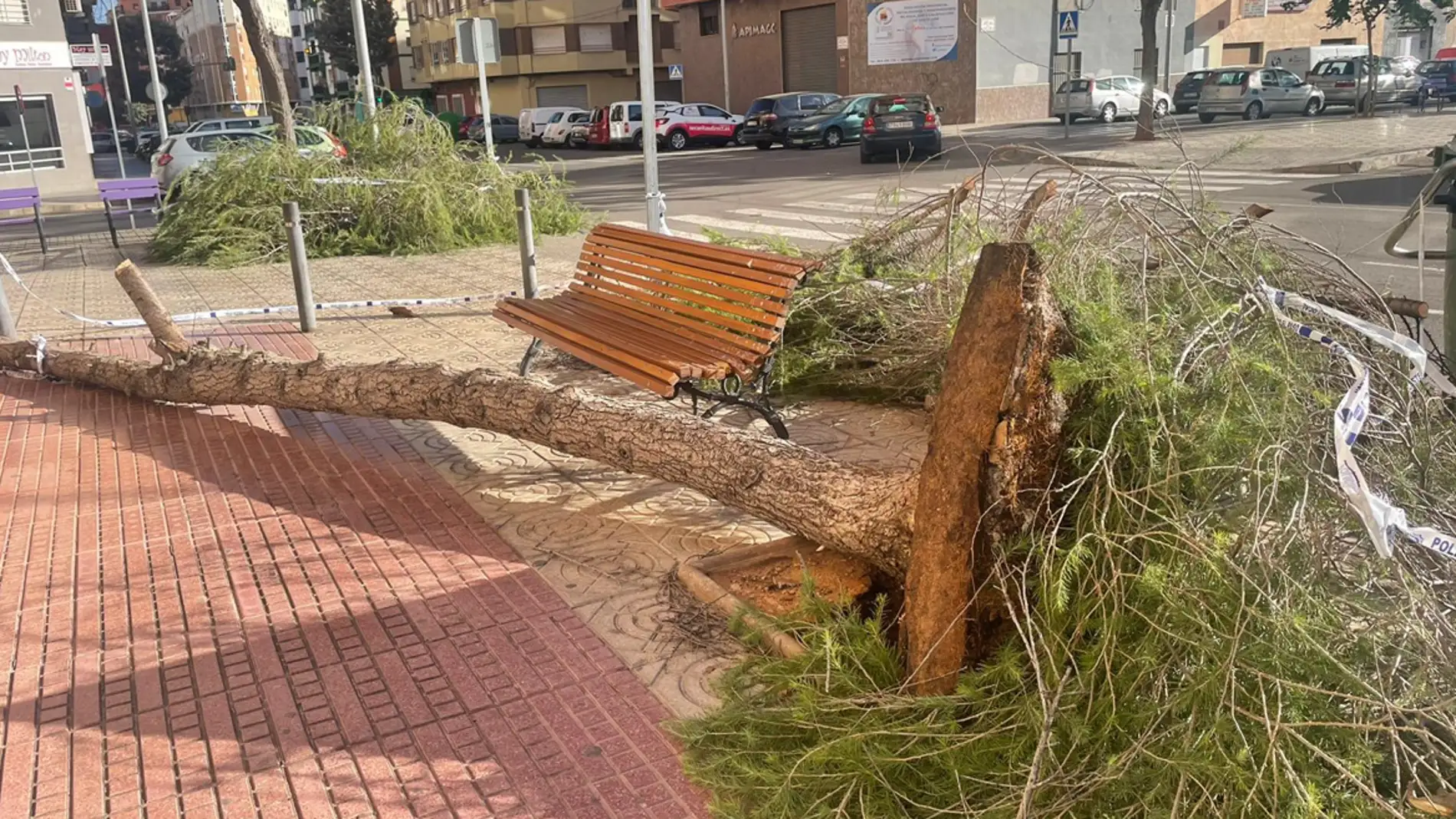 Alerta naranja: las intervenciones por viento en Castelló rozan el centenar