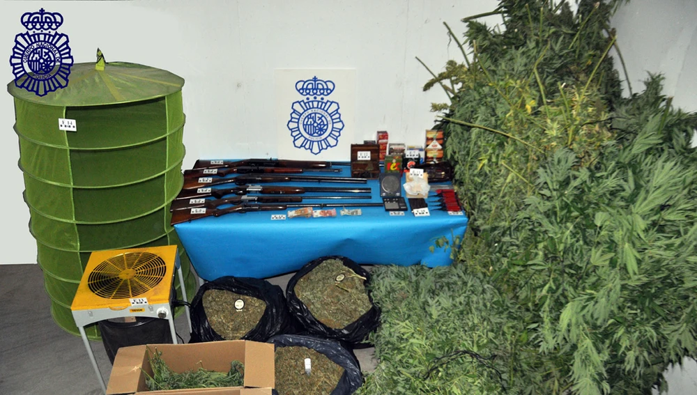 Drogas y armas incautadas en una plantación de marihuana en Valdepeñas