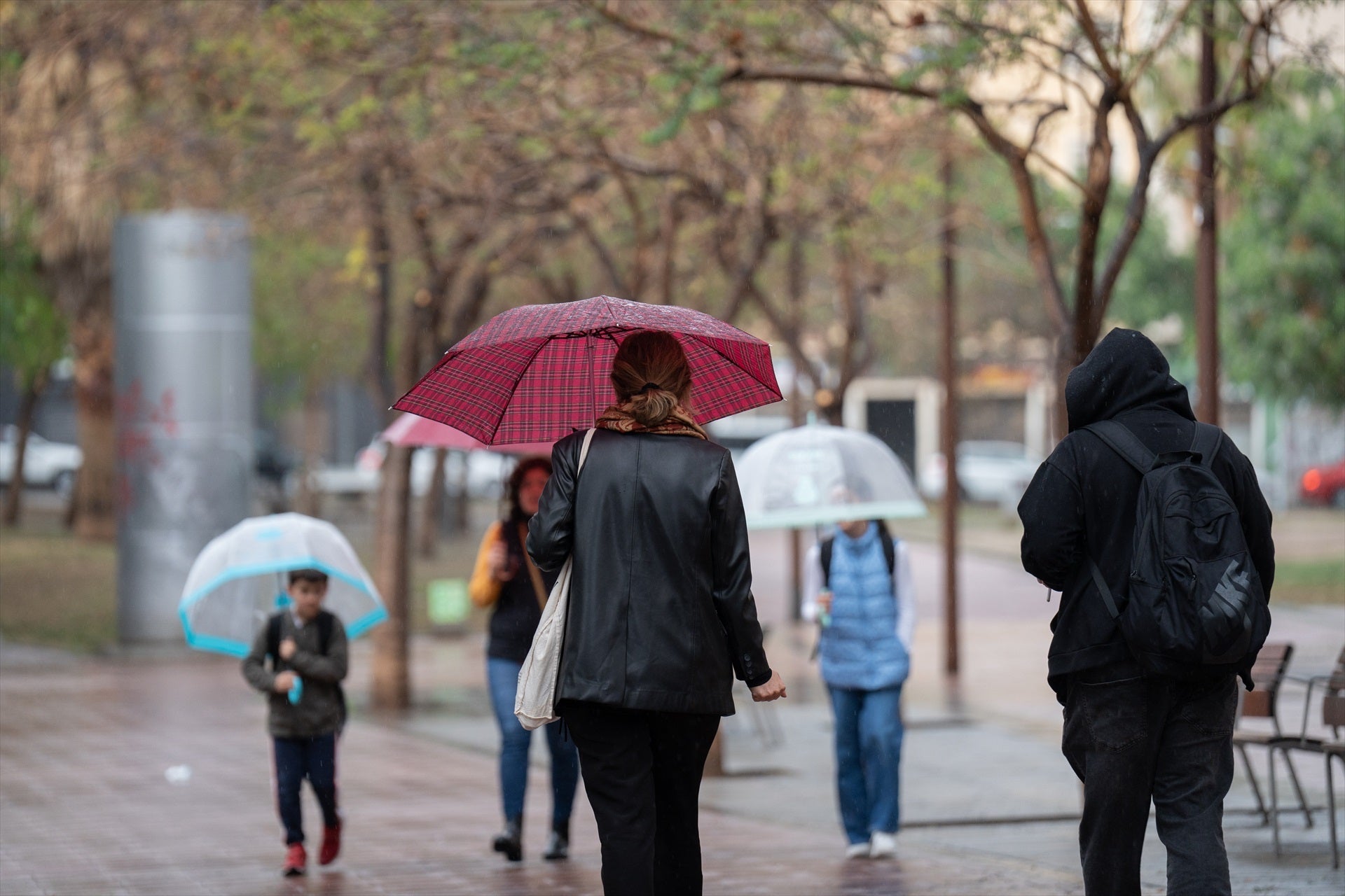 Llegan las primeras heladas: la AEMET prevé "temperaturas propias de la época" para este martes Llegan las primeras heladas: la AEMET prevé "temperaturas propias de la época" para este martes