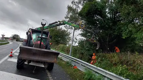 Limpeza de estradas nas comarecas do Carballiño e Ribeiro Limpeza de estradas nas comarecas do Carballiño e Ribeiro