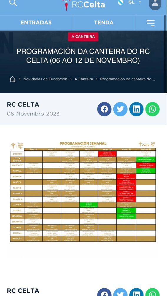 Página web del Real Club Celta de Vigo