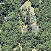 Desmantellen dos grups criminals al Pirineu que han cultivat marihuana per valor de 49 milions d'euros
