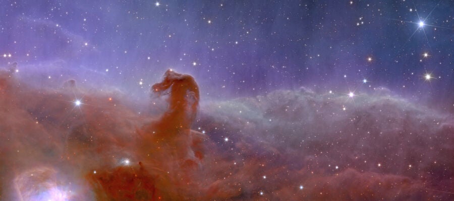 La Nebulosa Cabeza de Caballo captada por Euclid.