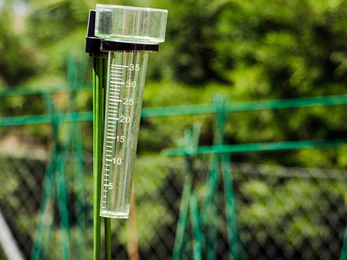 Llueve en el primer trimestre del año hidrológico casi lo mismo que en todo el ejercicio anterior en Marbella Llueve en el primer trimestre del año hidrológico casi lo mismo que en todo el ejercicio anterior en Marbella