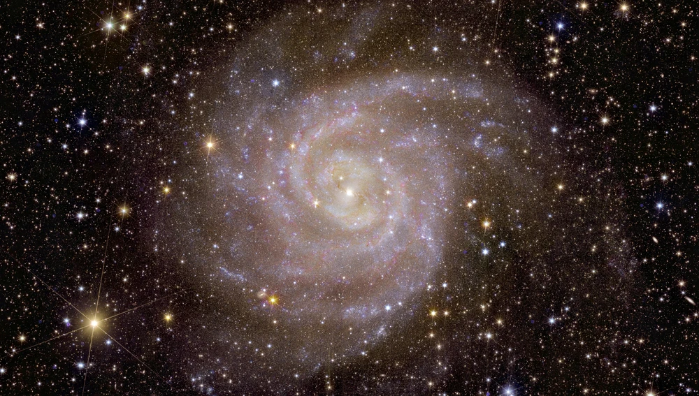 La galaxia IC 342 captada por Euclid.