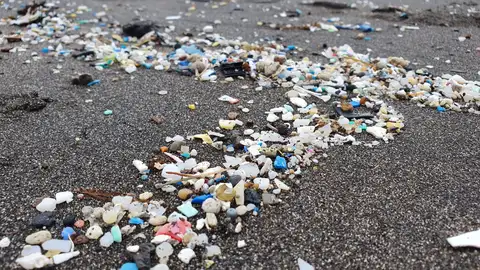 Microplásticos en las costas canarias Microplásticos en las costas canarias