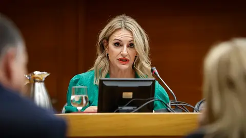 La Consellera durante su comparecencia en la Comisión de Presupuestos de Les Corts La Consellera durante su comparecencia en la Comisión de Presupuestos de Les Corts