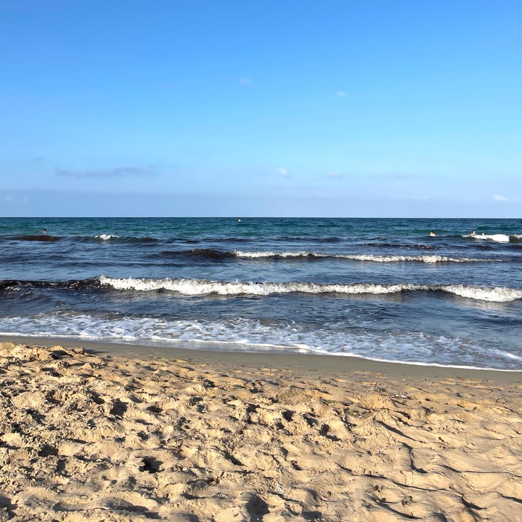 La playa de Los Arenales del Sol de Elche, con agua más fría que la del mar Cantábrico en Santander La playa de Los Arenales del Sol de Elche, con agua más fría que la del mar Cantábrico en Santander