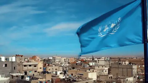 Columnas de la historia. Gaza: ¿Para qué sirve la ONU? Columnas de la historia. Gaza: ¿Para qué sirve la ONU?