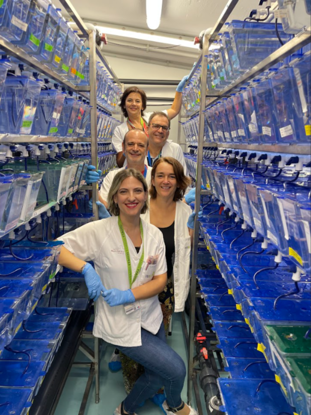 Científicos de la UMU y el IMIB exploran un nuevo tratamiento contra enfermedades genéticas poco comunes Científicos de la UMU y el IMIB exploran un nuevo tratamiento contra enfermedades genéticas poco comunes
