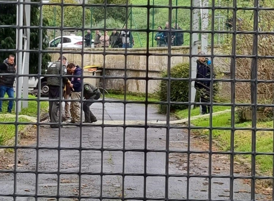 Axentes forestales capturan los primeros jabalíes en A Coruña en el Centro Integrado de Formación Profesional de Someso Axentes forestales capturan los primeros jabalíes en A Coruña en el Centro Integrado de Formación Profesional de Someso