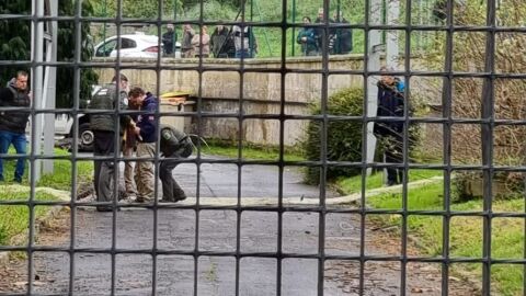 Fueron sedados despu&eacute;s de la intervenci&oacute;n de Axentes Forestais.