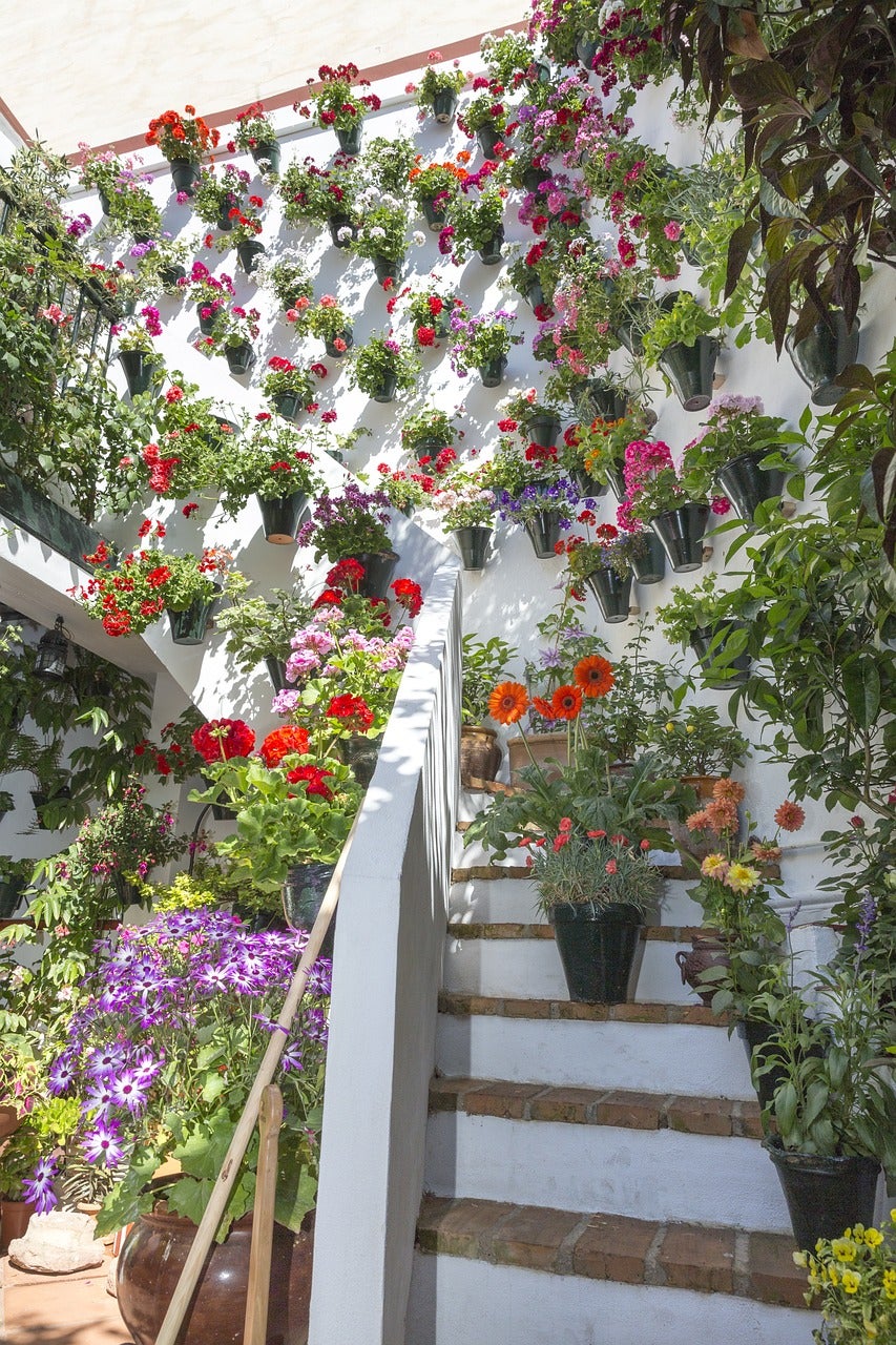 Los patios situados en los números 9, 2 y 6 de las calles Tinte, Pastora y Marroquíes ganan el concurso 2024 Los patios situados en los números 9, 2 y 6 de las calles Tinte, Pastora y Marroquíes ganan el concurso 2024