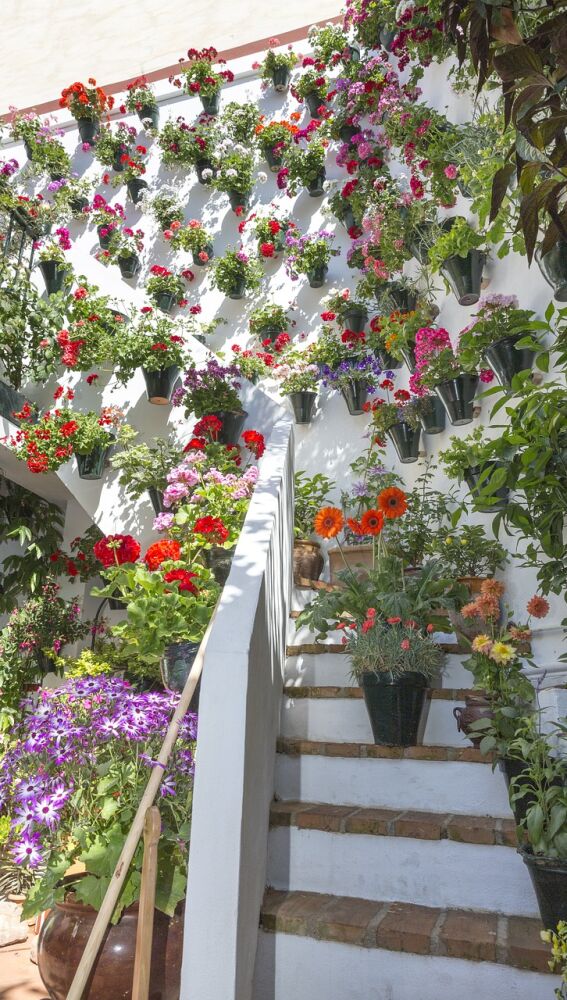 Patios de Córdoba