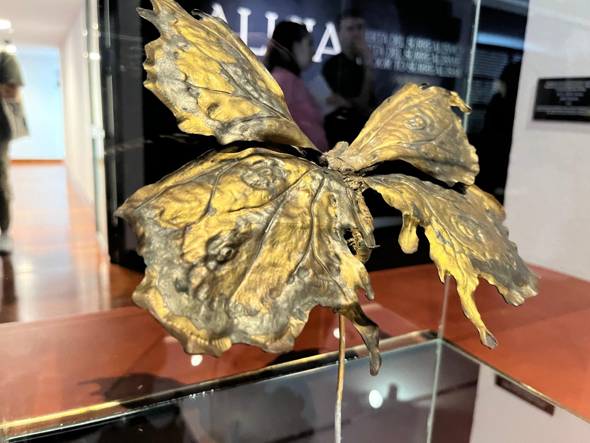 Crevillent es protagonista en la exposición de Salvador Dalí en el Alicante con una mariposa del Museo Mariano Benlliure Crevillent es protagonista en la exposición de Salvador Dalí en el Alicante con una mariposa del Museo Mariano Benlliure