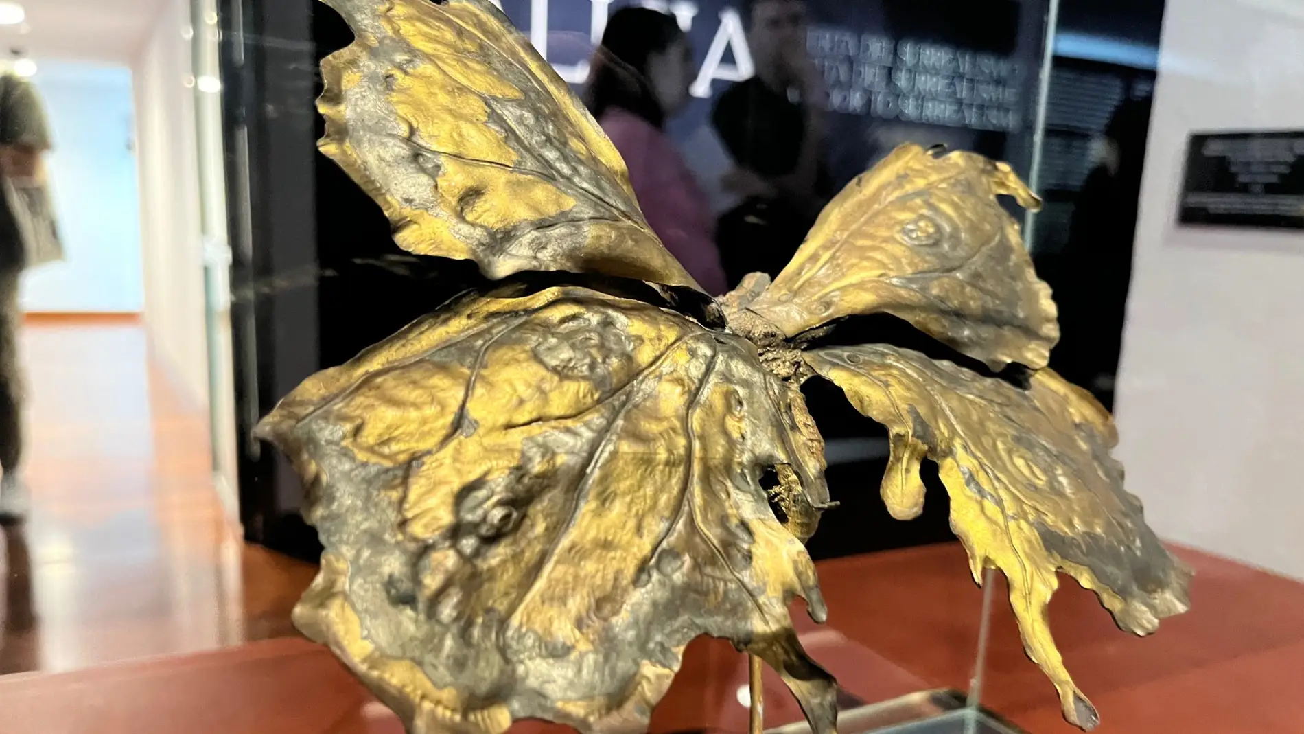 Mariposa en bronce del Museo Mariano Benlliure de Crevillent.