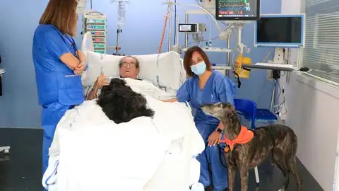 Les dues gosses terapeutes amb el Francisco, un dels pacients que participen al projecte Les dues gosses terapeutes amb el Francisco, un dels pacients que participen al projecte