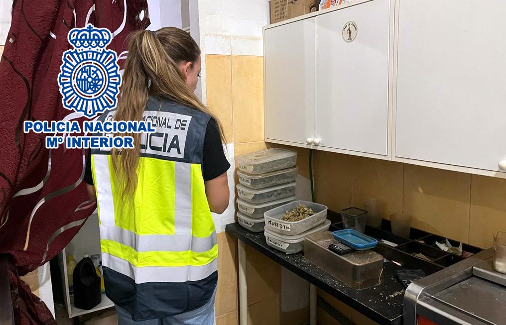 La Policía de Alicante desmantela un punto de venta de drogas camuflado en un club cannábico La Policía de Alicante desmantela un punto de venta de drogas camuflado en un club cannábico