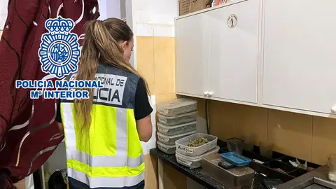Una agente examina la droga que se distribuía en el club cannábico Una agente examina la droga que se distribuía en el club cannábico